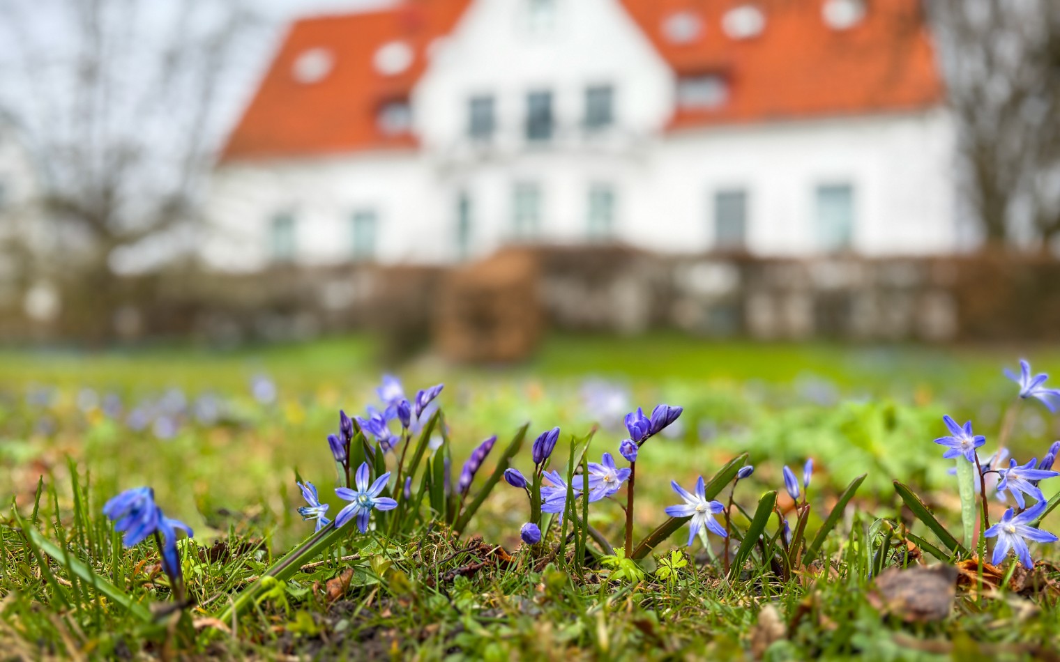 Villa Forsman CMES HQ