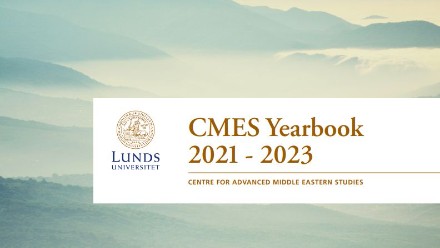 CMES Workshop